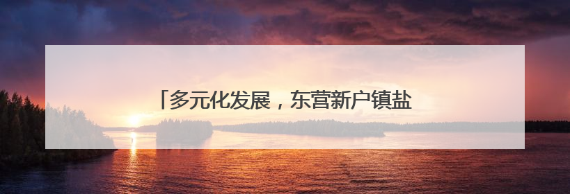 多元化发展，东营新户镇盐场、渔业和新能源产业并进