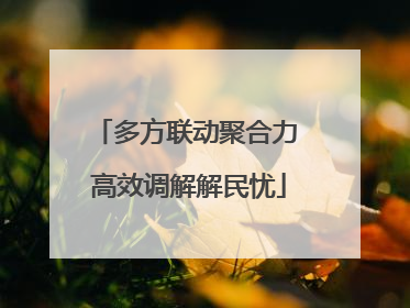 多方联动聚合力 高效调解解民忧
