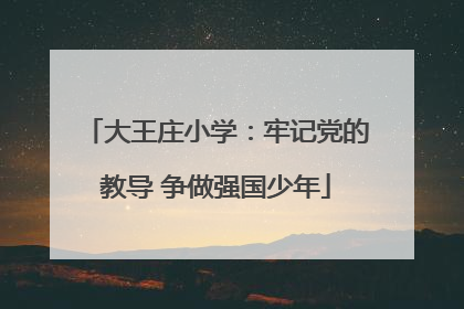 大王庄小学：牢记党的教导 争做强国少年