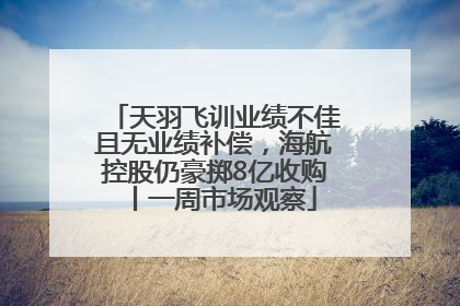 天羽飞训业绩不佳且无业绩补偿，海航控股仍豪掷8亿收购丨一周市场观察
