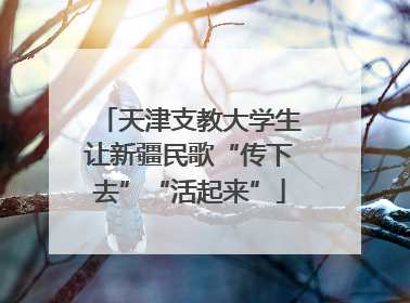 天津支教大学生让新疆民歌“传下去”“活起来”