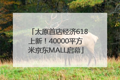 太原首店经济618上新！40000平方米京东MALL启幕