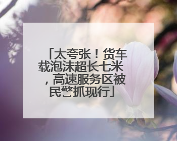 太夸张！货车载泡沫超长七米，高速服务区被民警抓现行