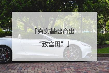 夯实基础育出“致富田”