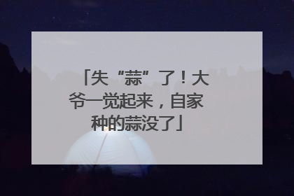 失“蒜”了！大爷一觉起来，自家种的蒜没了