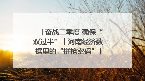 奋战二季度 确保“双过半”丨河南经济数据里的“拼抢密码”