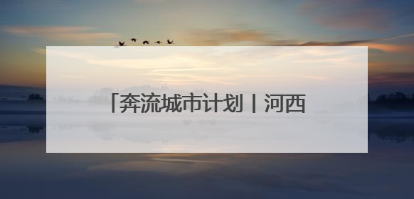 奔流城市计划丨河西走廊的“紫色名片”