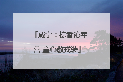威宁：棕香沁军营 童心敬戎装