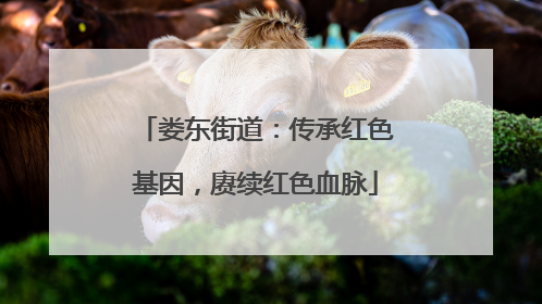 娄东街道：传承红色基因，赓续红色血脉