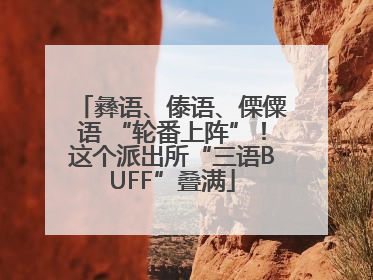 彝语、傣语、傈僳语 “轮番上阵”！这个派出所“三语BUFF”叠满