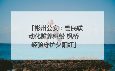 彬州公安：警民联动化赡养纠纷 枫桥经验守护夕阳红