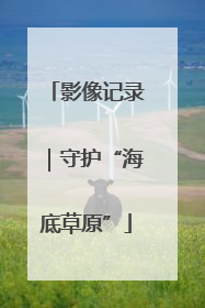 影像记录｜守护“海底草原”