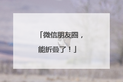 微信朋友圈，能折叠了！
