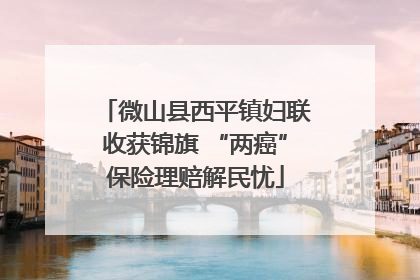 微山县西平镇妇联收获锦旗 “两癌”保险理赔解民忧