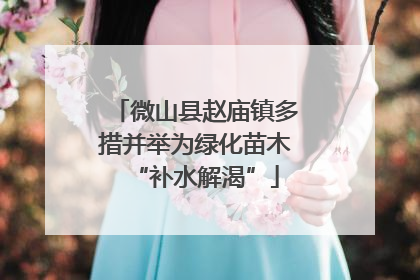 微山县赵庙镇多措并举为绿化苗木“补水解渴”