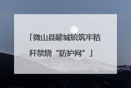 微山县驩城镇筑牢秸秆禁烧“防护网”