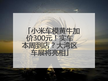 小米车模黄牛加价300元！实车本周到店？大湾区车展将亮相