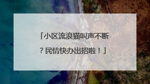 小区流浪猫叫声不断？民情快办出招啦！