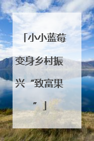 小小蓝莓变身乡村振兴“致富果”