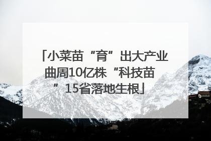 小菜苗“育”出大产业 曲周10亿株“科技苗”15省落地生根