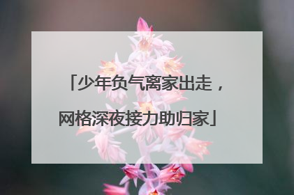 少年负气离家出走，网格深夜接力助归家