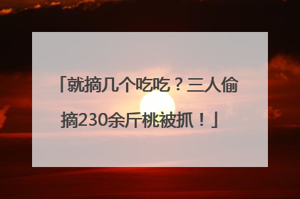 就摘几个吃吃？三人偷摘230余斤桃被抓！