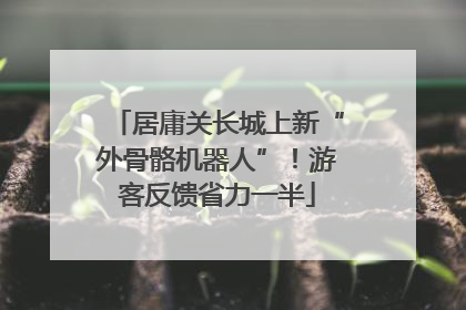 居庸关长城上新“外骨骼机器人”！游客反馈省力一半