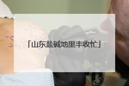 山东盐碱地里丰收忙