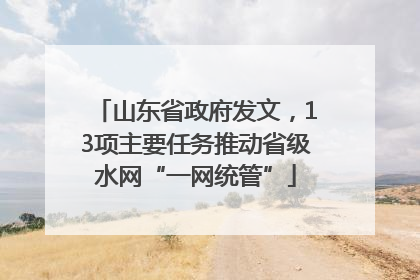 山东省政府发文，13项主要任务推动省级水网“一网统管”