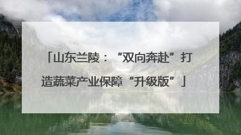 山东兰陵：“双向奔赴”打造蔬菜产业保障“升级版”