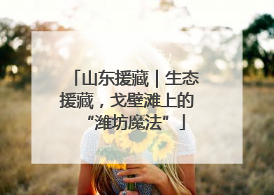 山东援藏｜生态援藏，戈壁滩上的“潍坊魔法”