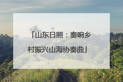 山东日照：奏响乡村振兴山海协奏曲