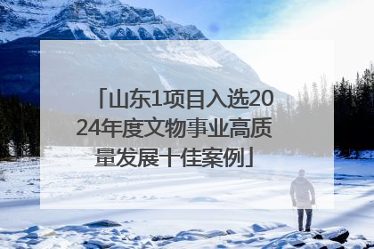 山东1项目入选2024年度文物事业高质量发展十佳案例