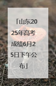 山东2025年高考成绩6月25日下午公布