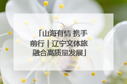 山海有情 携手前行｜辽宁文体旅融合高质量发展