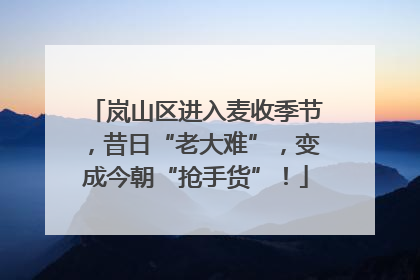 岚山区进入麦收季节，昔日“老大难”，变成今朝“抢手货”！