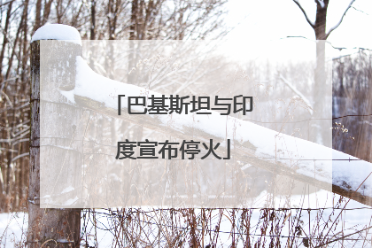 巴基斯坦与印度宣布停火