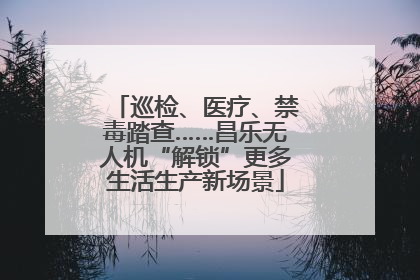 巡检、医疗、禁毒踏查……昌乐无人机“解锁”更多生活生产新场景