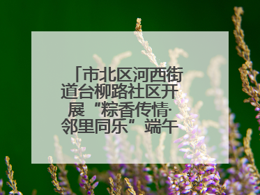 市北区河西街道台柳路社区开展“粽香传情·邻里同乐”端午文化主题活动
