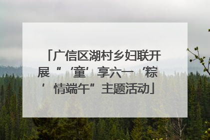 广信区湖村乡妇联开展“‘童’享六一‘粽’情端午”主题活动