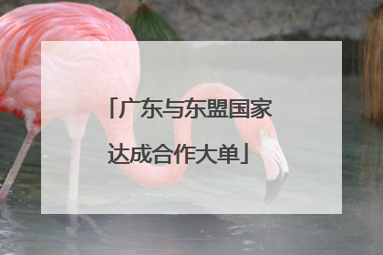 广东与东盟国家达成合作大单