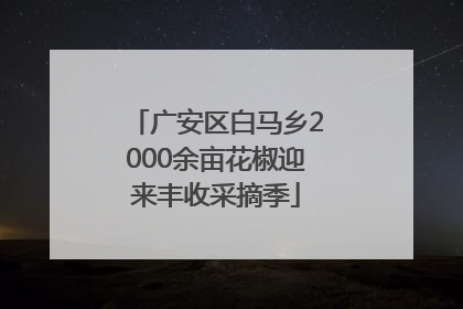 广安区白马乡2000余亩花椒迎来丰收采摘季