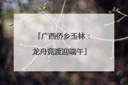 广西侨乡玉林：龙舟竞渡迎端午