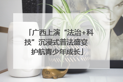 广西上演“法治+科技”沉浸式普法盛宴 护航青少年成长