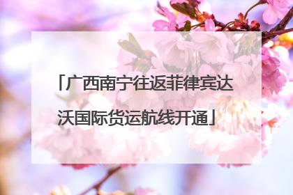 广西南宁往返菲律宾达沃国际货运航线开通
