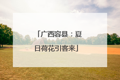 广西容县：夏日荷花引客来
