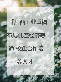 广西工业重镇布局低空经济赛道 校企合作培养人才