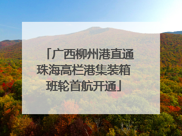 广西柳州港直通珠海高栏港集装箱班轮首航开通