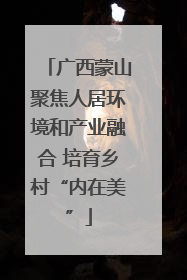 广西蒙山聚焦人居环境和产业融合 培育乡村“内在美”