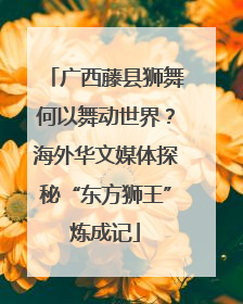 广西藤县狮舞何以舞动世界？海外华文媒体探秘“东方狮王”炼成记